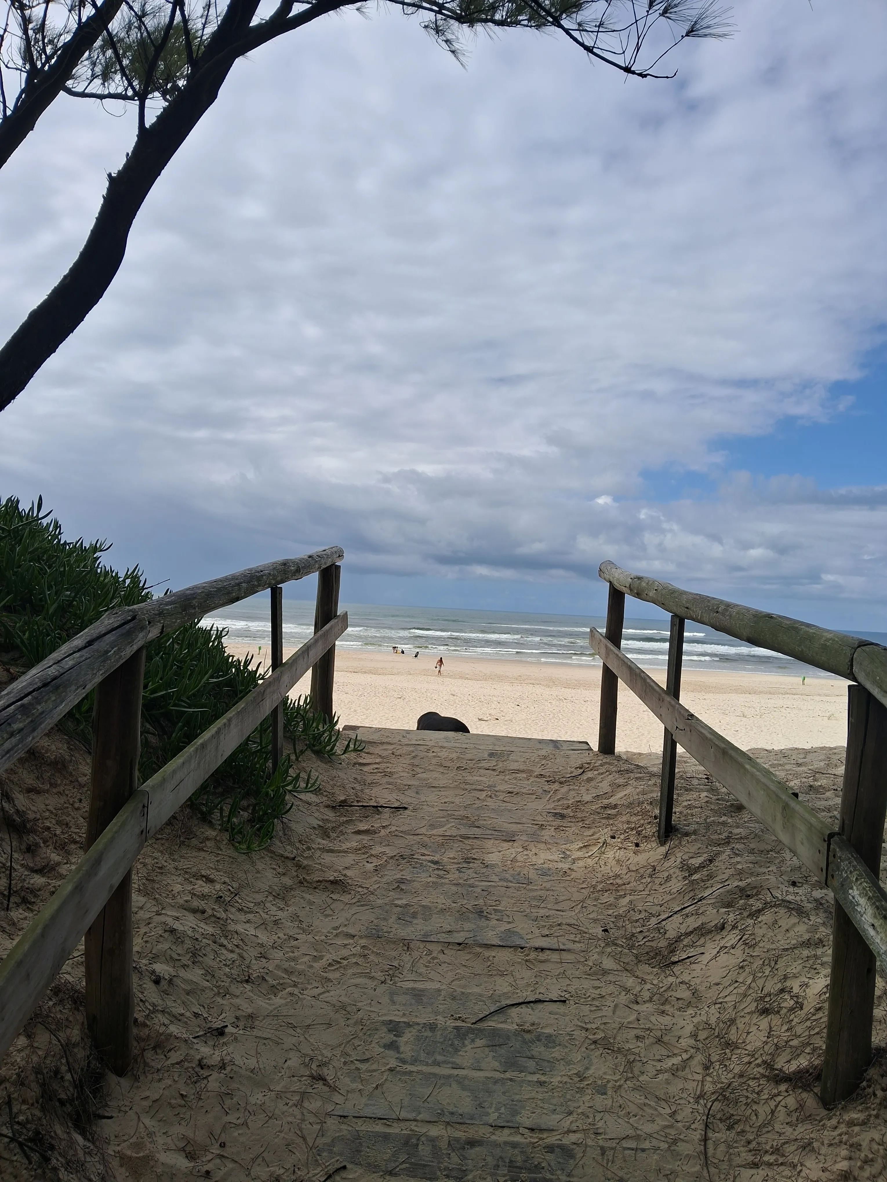 Natureza e atividades ao ar livre